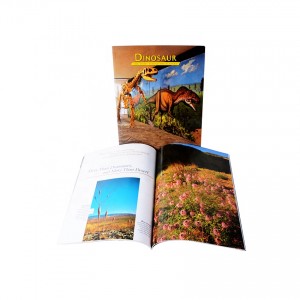 Softcover Book Printing