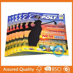 Cheapest Price Customzied Soft Cover Book Printing - Catalogue & Brochure – King Fu Printing