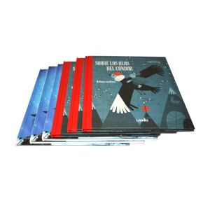 King Fu Wholesale Professional Promotional Hardcover and Casebound Book Color Printing Factory for Kids with Glossy Lamination