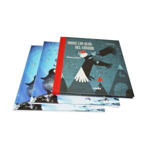 King Fu Wholesale Professional Promotional Hardcover and Casebound Book Color Printing Factory for Kids with Glossy Lamination