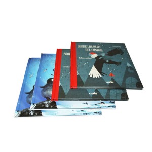 King Fu Professional Customized Professional Factory Price Eco-friendly Hardcover Children Colorful Book Printing Factory